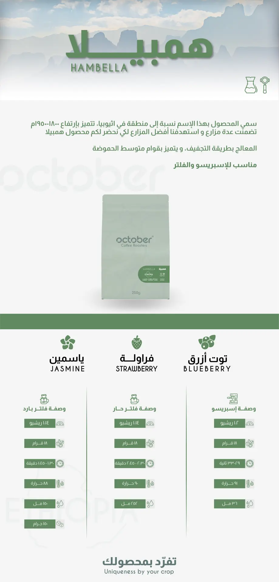 Ethiopia - Chelchele 250g | أثيوبيا - شلشلي